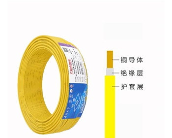 廣州電纜廠(chǎng) BVV ZC-BVV線(xiàn)